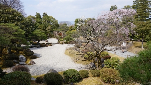 20160323 11435401.JPG