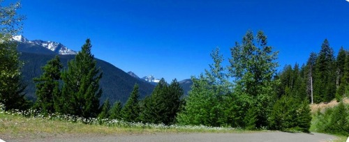 from the blackwall parking.jpg