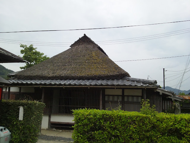 DSC_0095.JPG