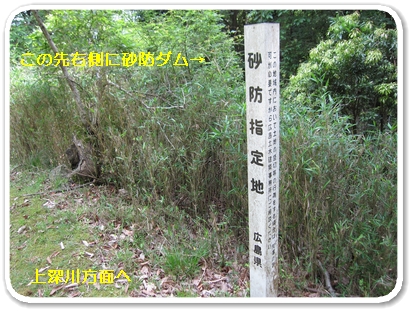 上深川（下山口付近４）_5880.jpg