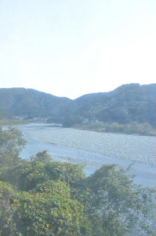 DSC_1750.JPG