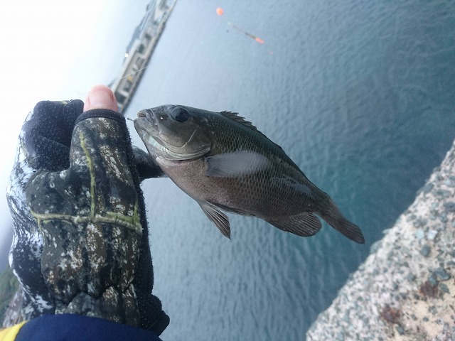 showPhoto (640×480)