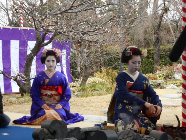 京都 北野天満宮梅花祭野点 パッキーの窓 楽天ブログ