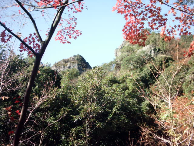 C:\fakepath\shodoshima014.jpg