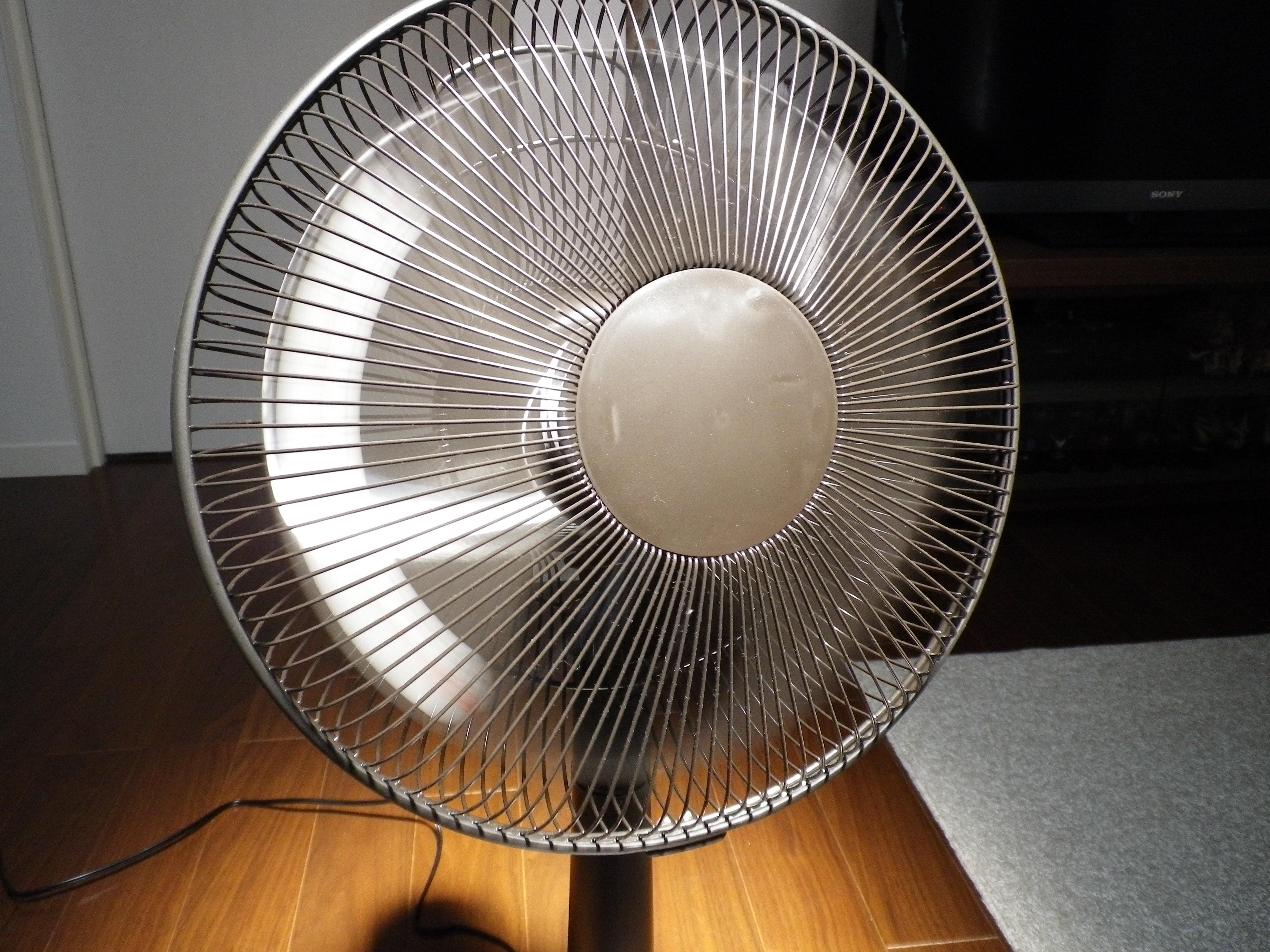IMGP2475.JPG
