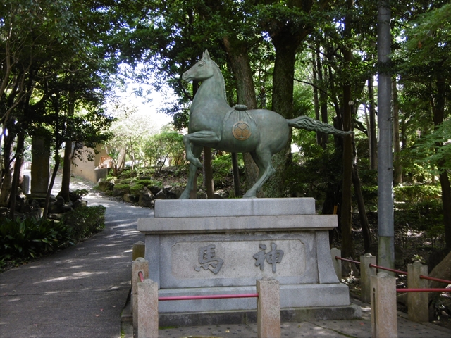 P1020107_R.JPG
