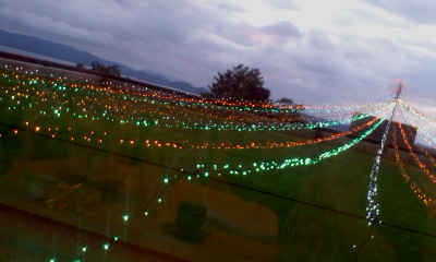 PA0_0300.JPG