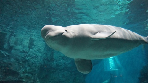 20151111 15004202.jpg