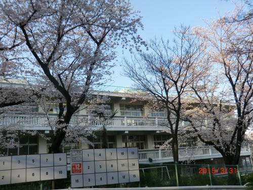 １５－４－１青葉台桜 003.JPG