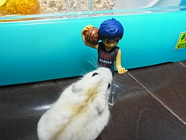 2014_05120057.JPG