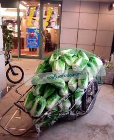 choi jeung hwa 3.jpg