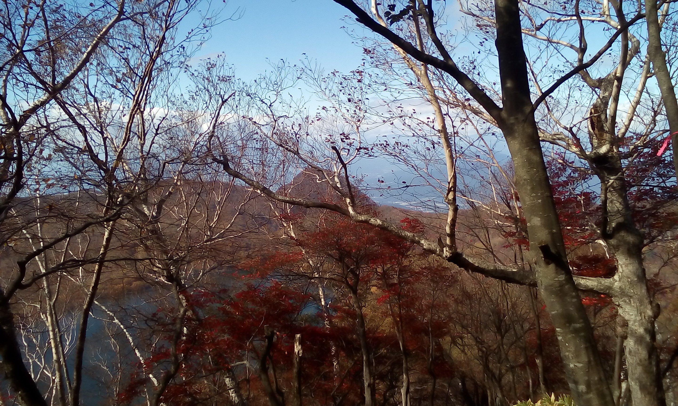 IMG_20151013_095121.jpg