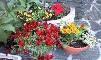 130423_1420~0001.jpg