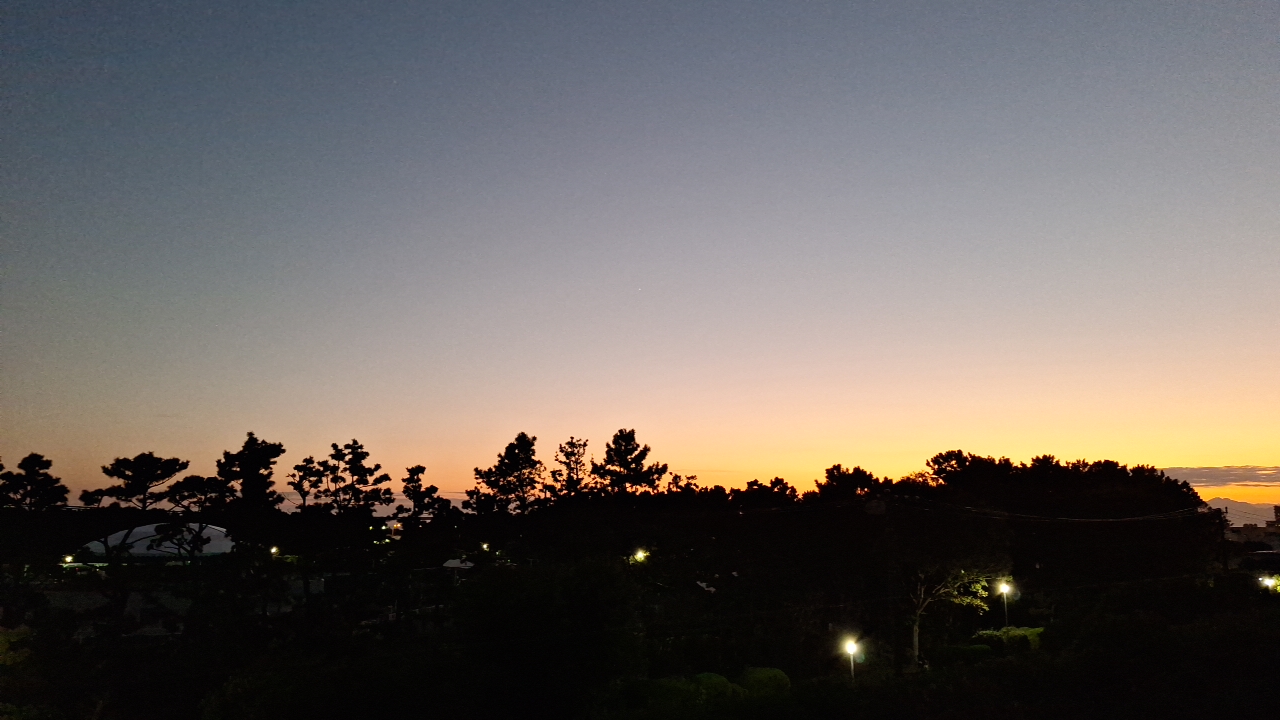 IMG_20241103_171251.jpg