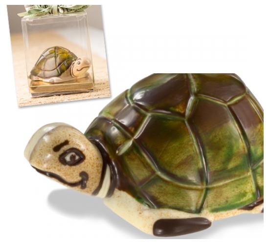 Turtle.jpg