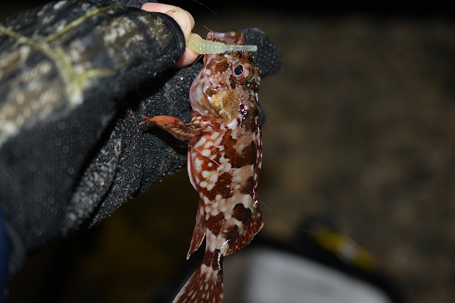 showPhoto (640×426)