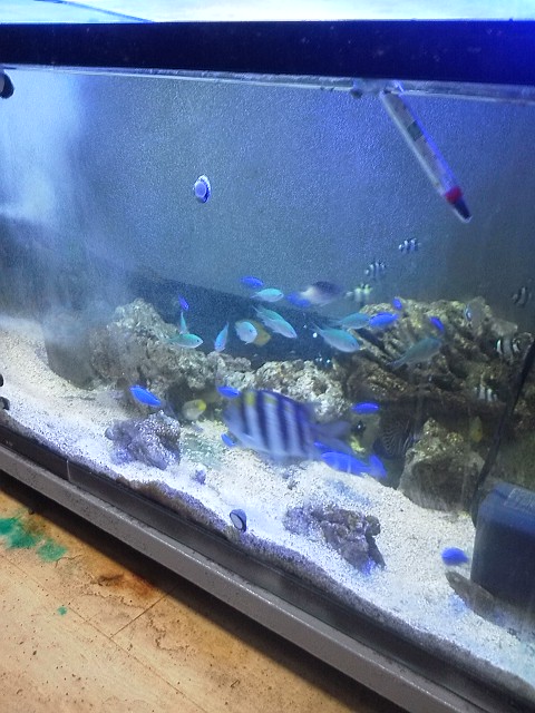 DSC_2602.jpg