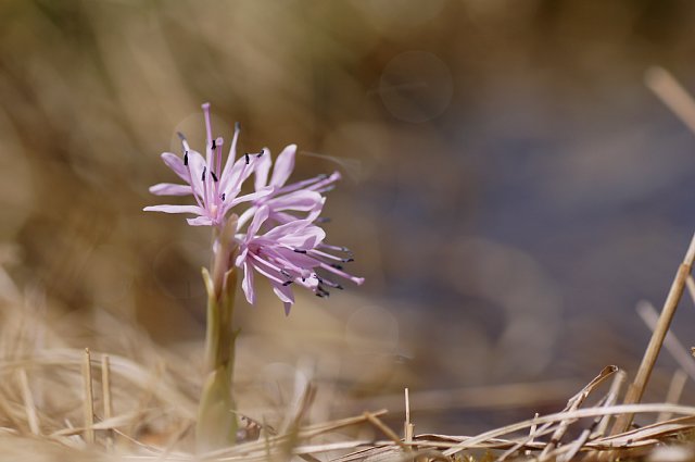 0504-5.jpg