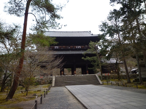P1020866.jpg