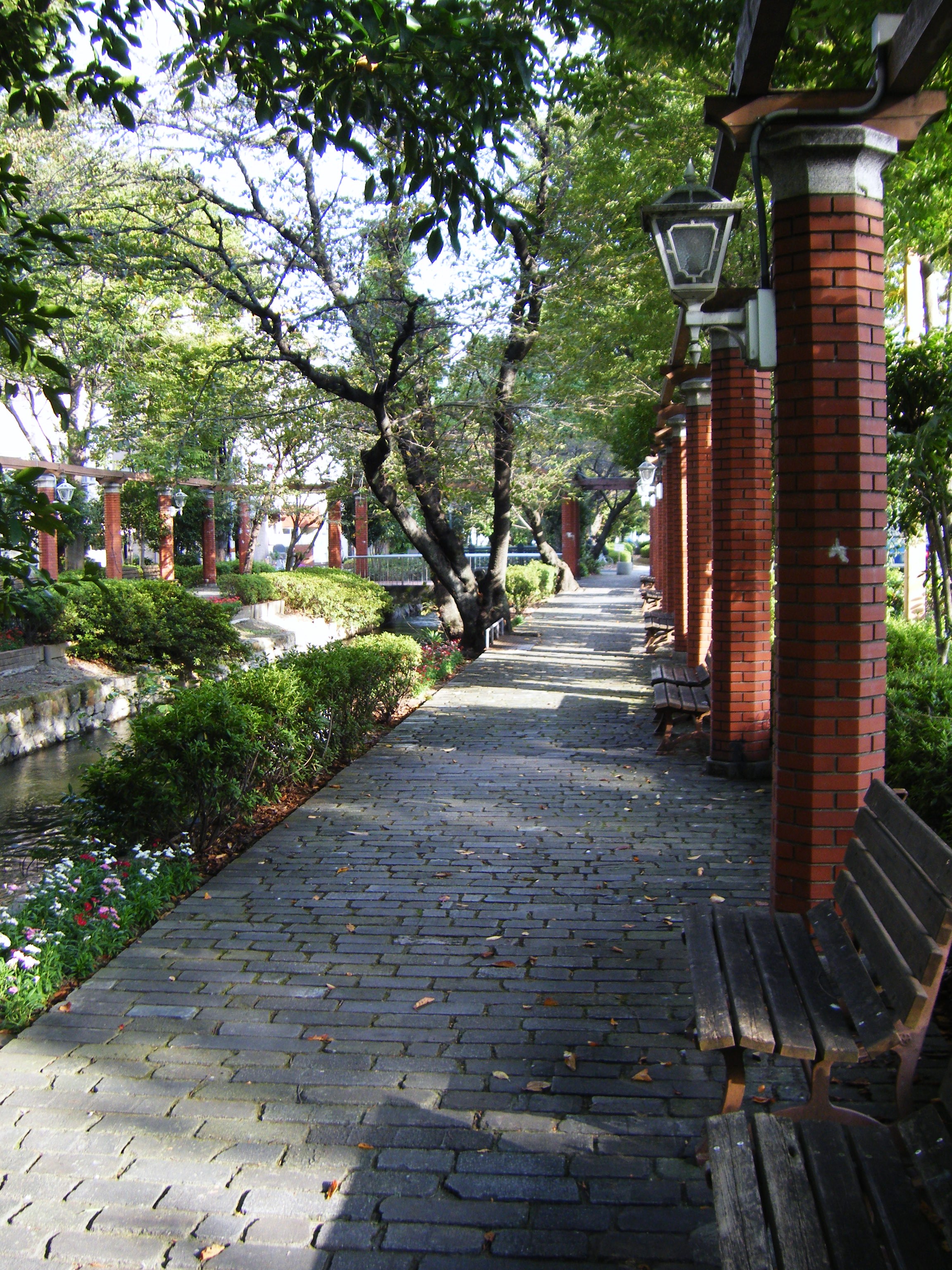DSCF1155.jpg