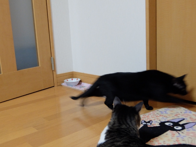 DSCF0411 (2) (640x480).jpg