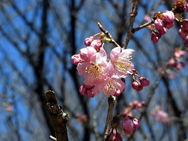 140306-03.jpg