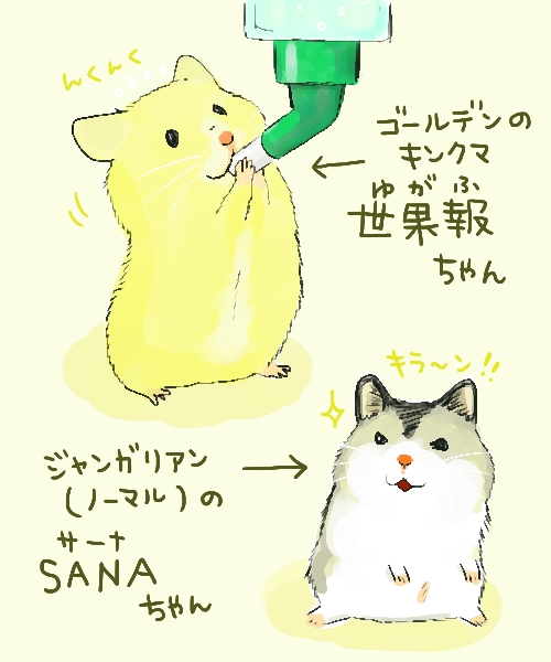 世果報＆SANA.jpg