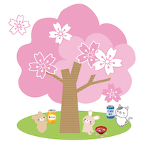 hanami.jpg