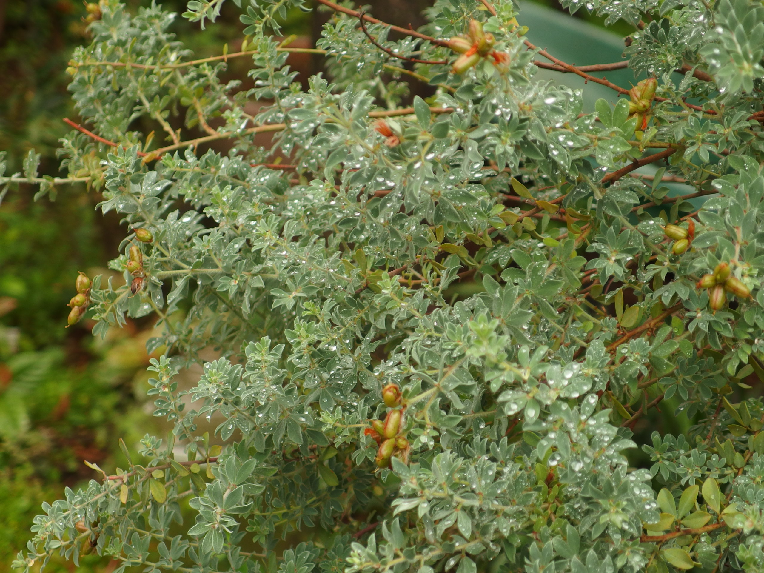 2015-06-27 14.32.51.jpg