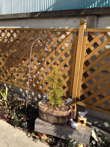 IMG_2904 (480x640).jpg