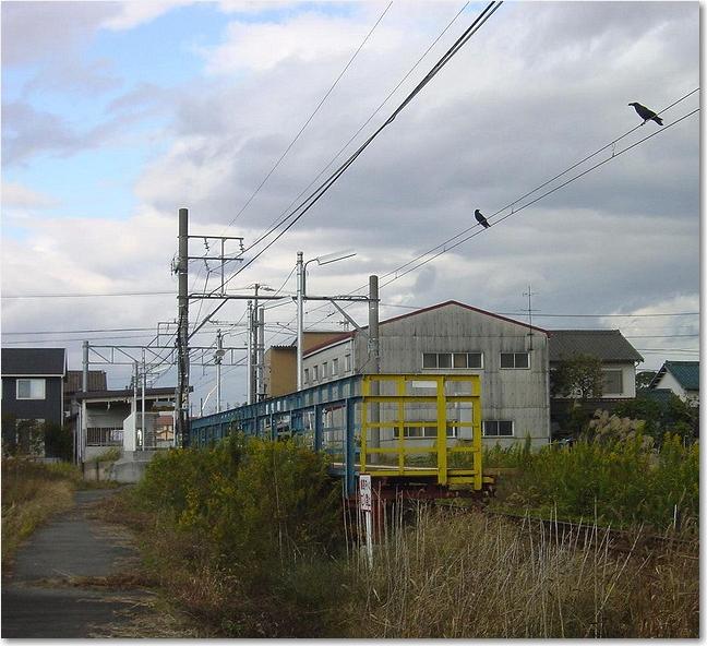 42カラスのいる駅.JPG