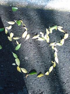 落ち葉ミッキー