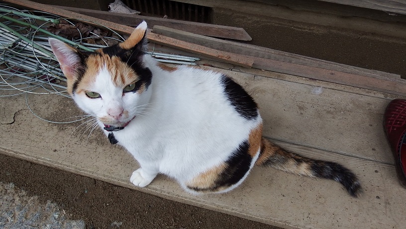 DSCF9079.JPG
