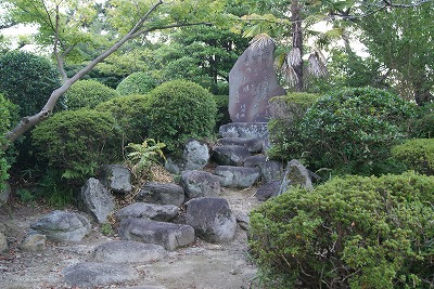 DSC08819.jpg