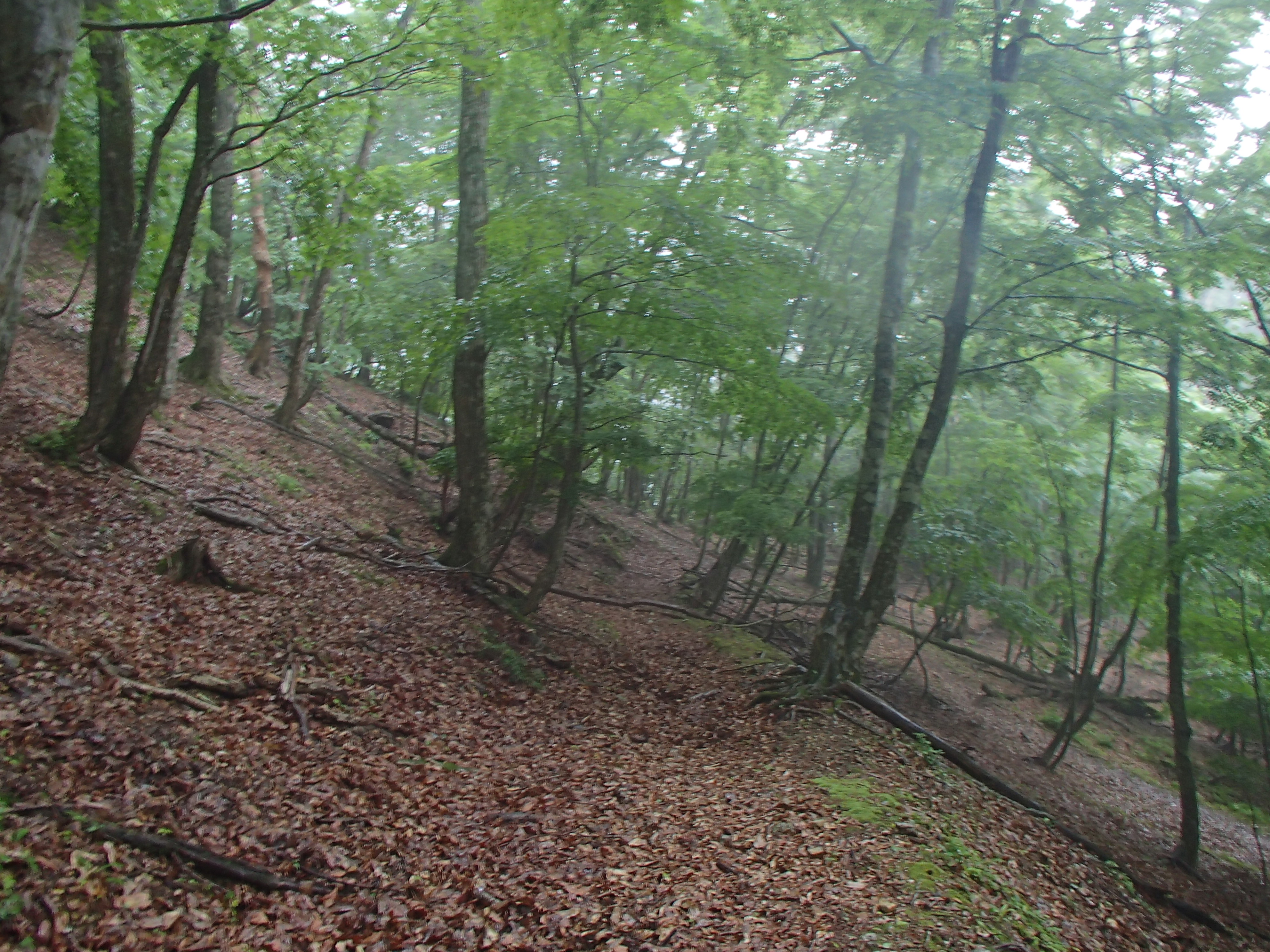 P6290142.JPG