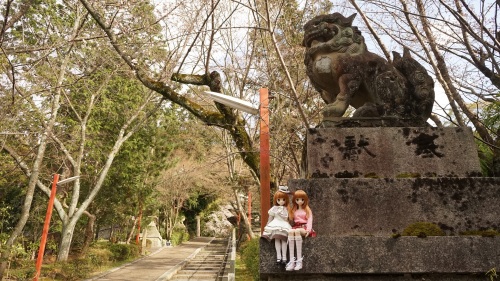 陽菜ちゃん　栗田神社 山道1.jpg