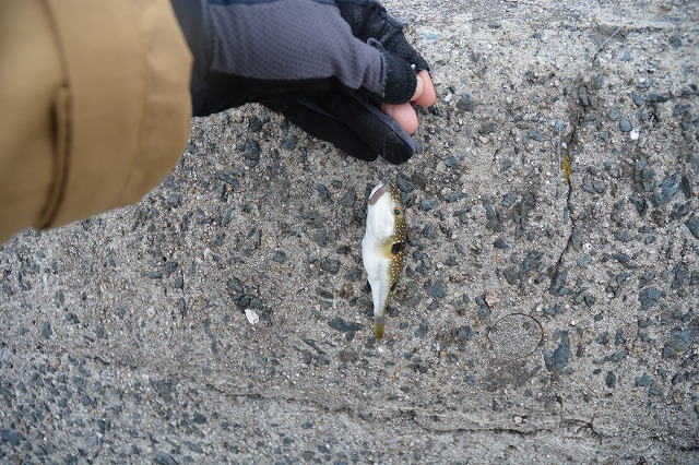 showPhoto (640×426)