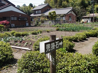 P4280010.jpg