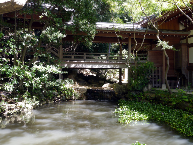 深大寺の池.jpg
