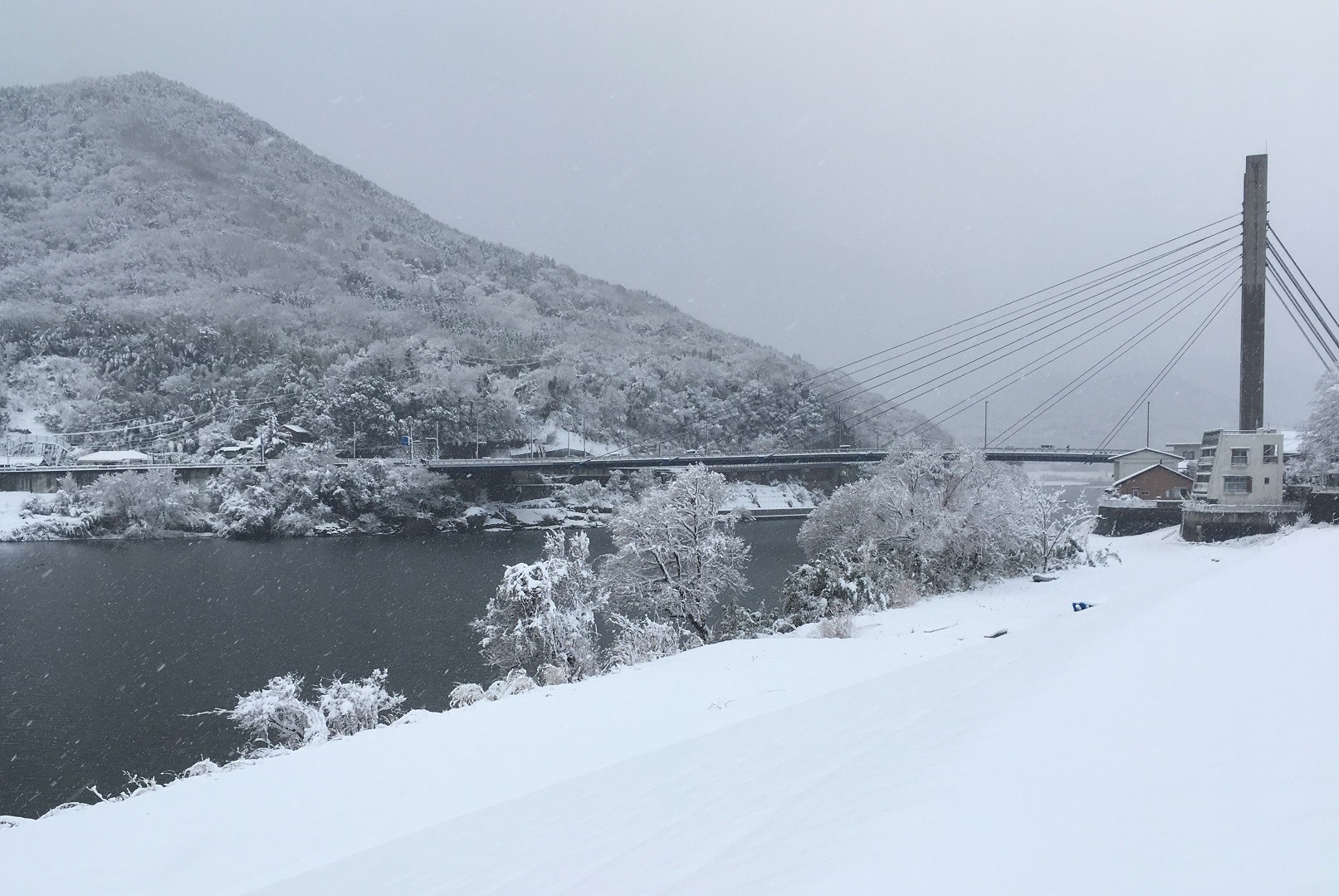 雪の岩津橋.JPG