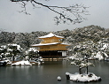 雪の金閣寺.jpg