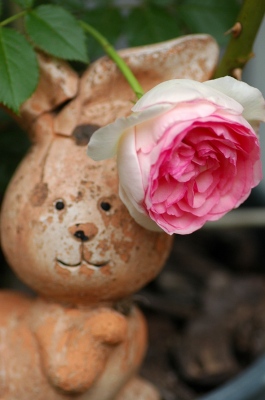 コピー ～ f 232.jpg