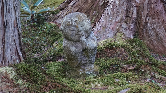 20160323 15464701.JPG