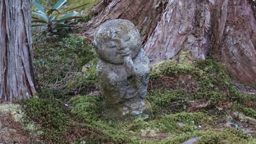 20160323 15464701.JPG