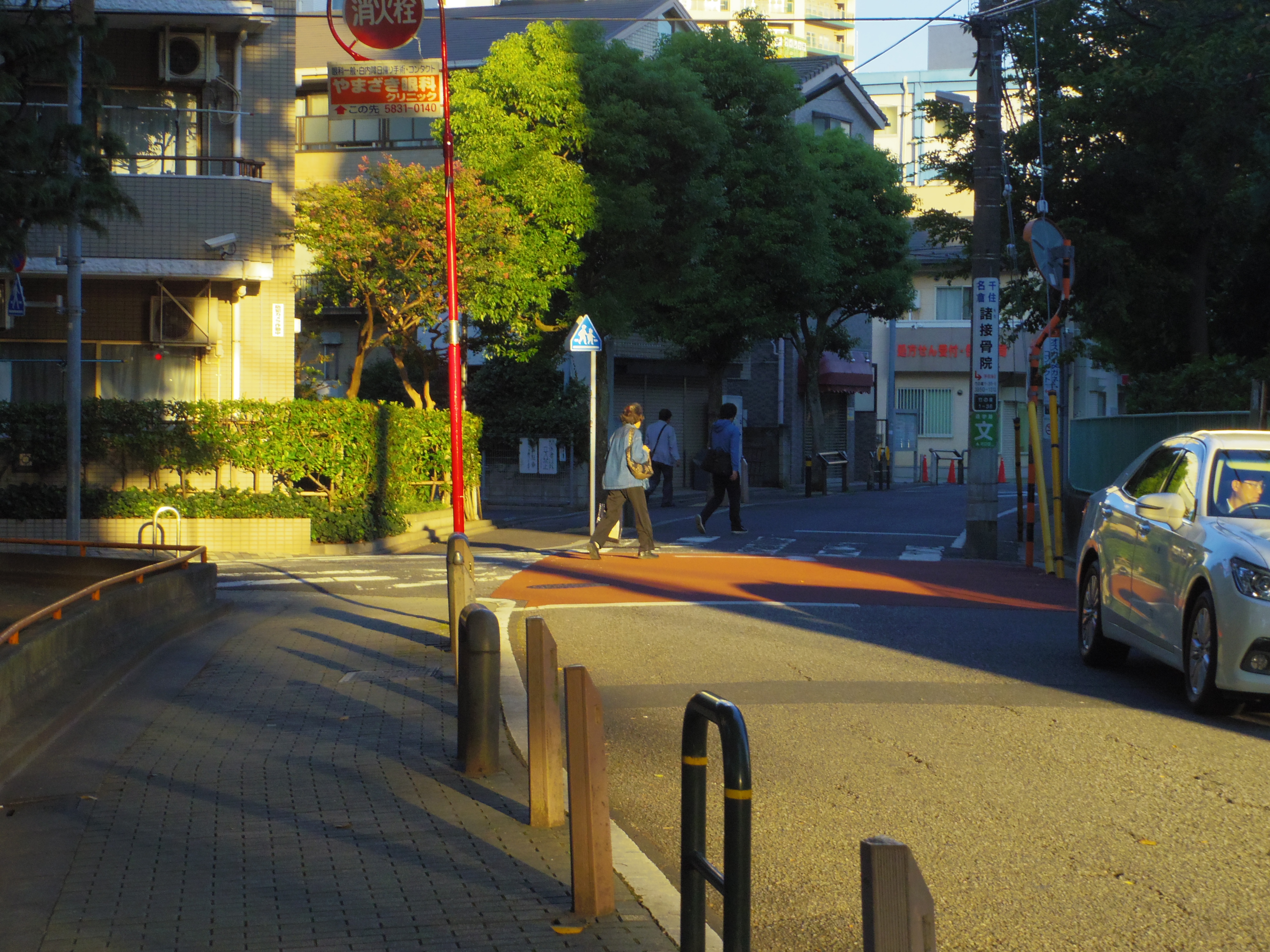 IMGP1136.JPG