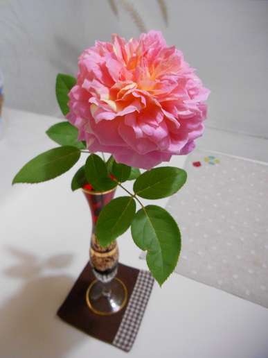 DSCN1692a.JPG