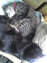 で殿下＆エムたん爆睡中～～