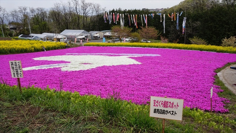 20150419 09535805.JPG