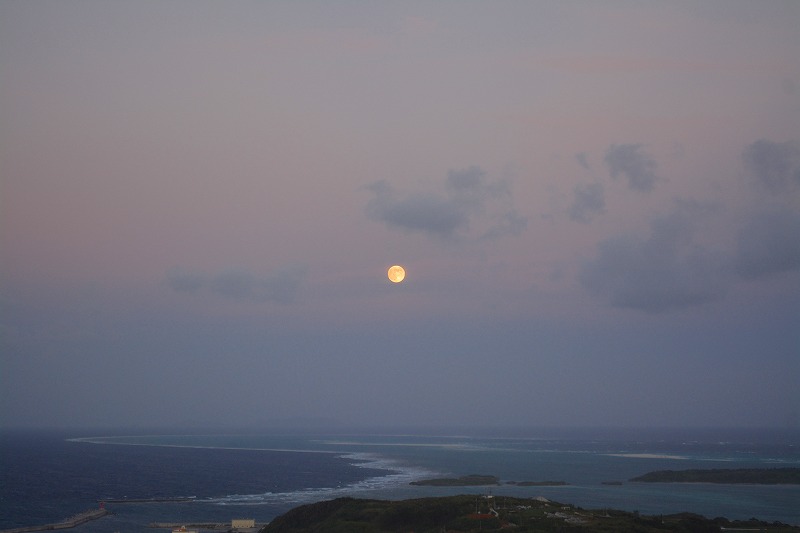 DSC_0925.jpg