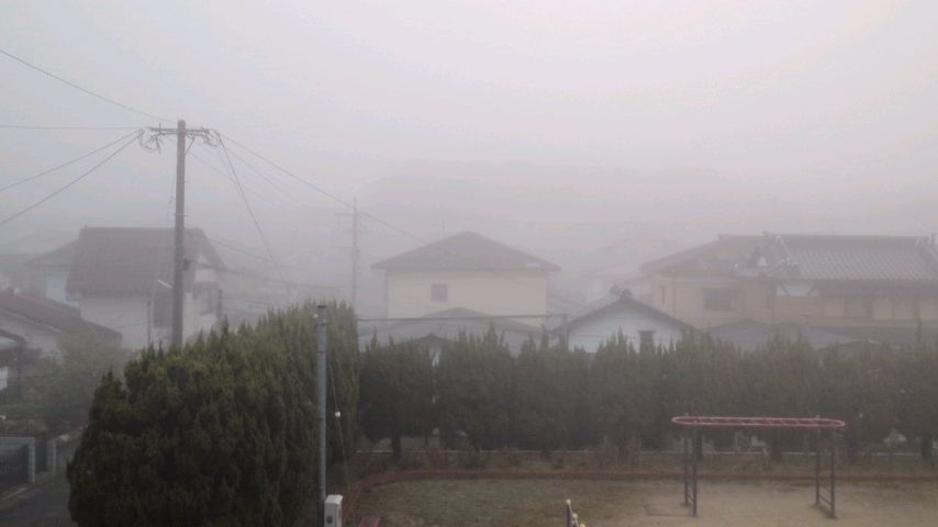 mini_160104_0747.jpg